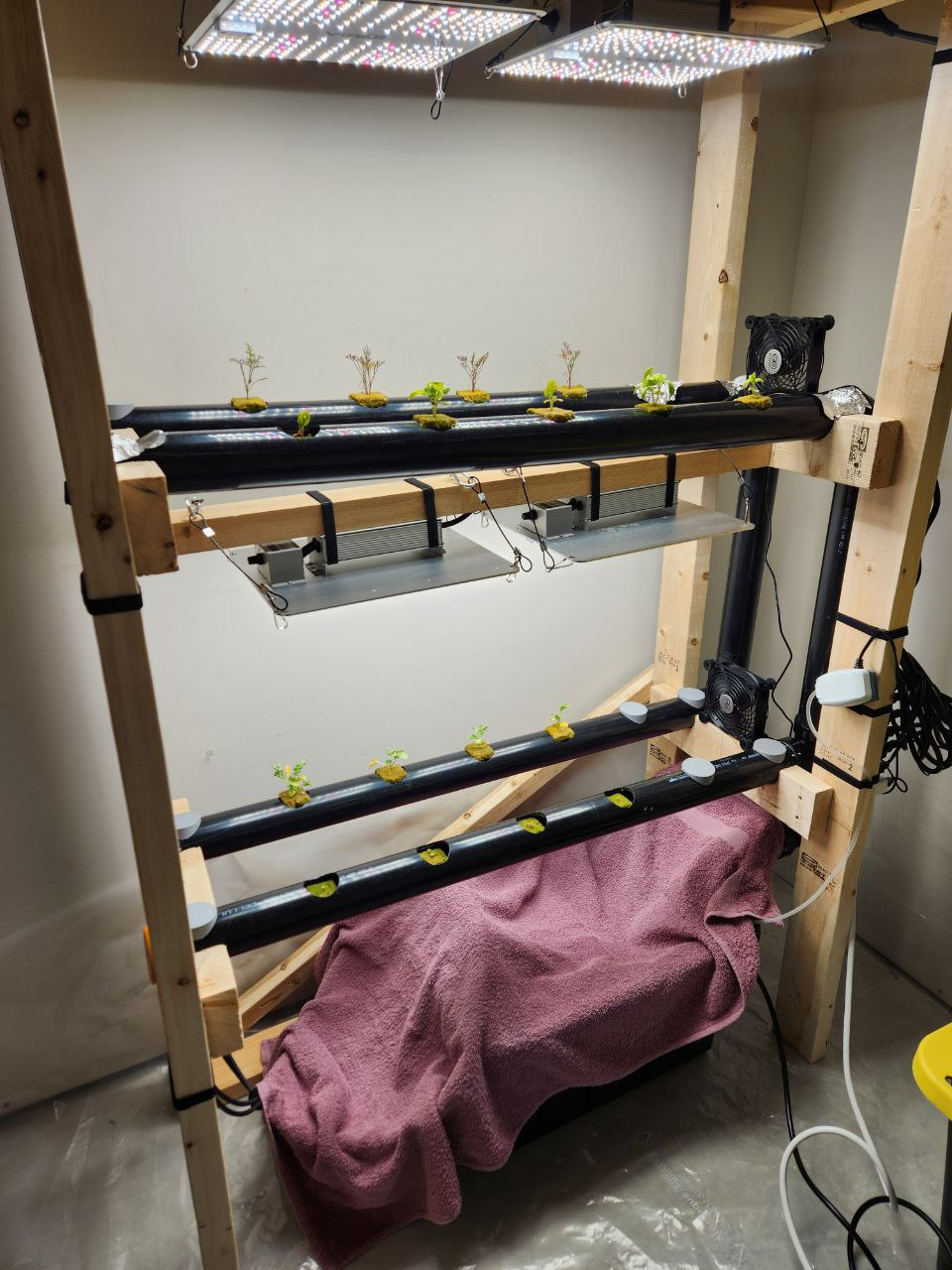 four black pipes supported horizontally by a wooden frame. eight small seedlings are growing out of the pipe under four grow lights total. two fans on the right. a pink towel is down below, covering the reservoir.